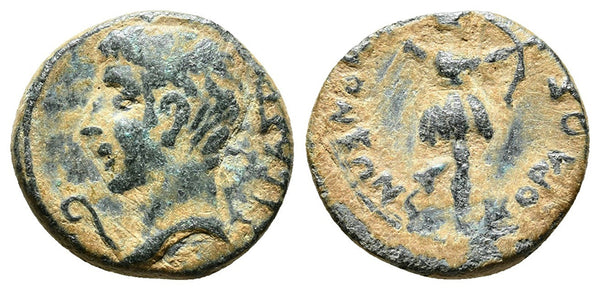 Ancient Roman Provincial coin of Augustus with Artemis minted in Acmonea, Phrygia