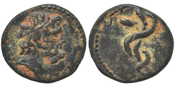 Ancient Greek coin minted in Seleukis and Pieria, Antioch - Asklepios and a coiled serpent