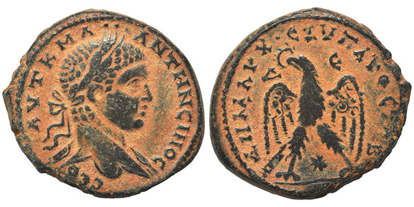 Large Ancient Roman Provincial coin of the Emperor Elagabalus minted in Seleucis and Pieria