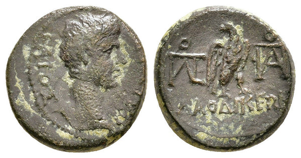 Ancient Roman Provincial coin of Gauis as Caesar struck in Laodicea ad Lycum, Phrygia