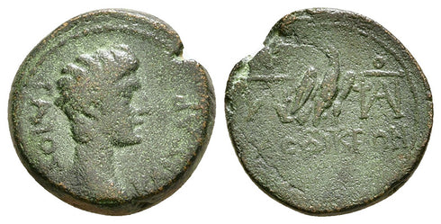 Ancient Roman Provincial coin of Gauis as Caesar struck in Laodicea ad Lycum, Phrygia