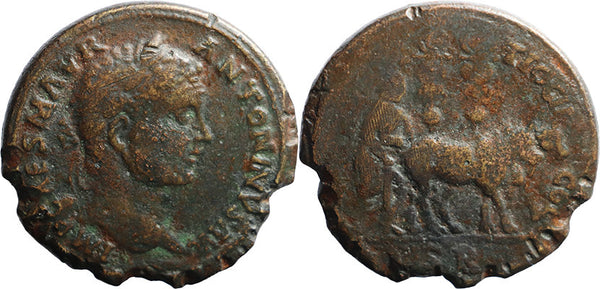 33mm Ancient Roman Provincial coin of Caracalla minted in Pisidia, Antioch