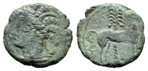 Ancient coin minted in Carthage, Zeugitania in 400-350 BC