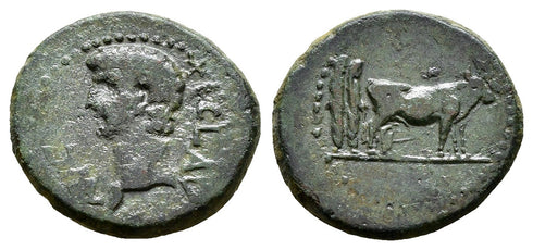 Ancient Roman Provincial coin of Claudius I minted in Parium, Mysia