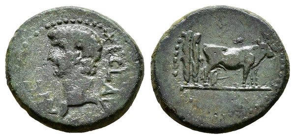 Ancient Roman Provincial coin of Claudius I minted in Parium, Mysia