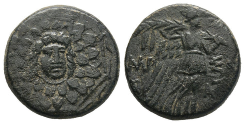 Ancient Greek coin from Pontos, Amisos. Time of Mithradates VI Eupator 105-63 BC