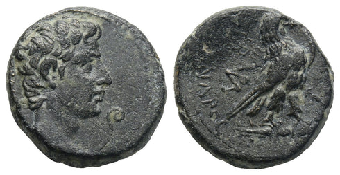 Ancient Roman Provincial coin of the Emperor Augustus 27 BC-14 AD minted in Amorium, Phrygia