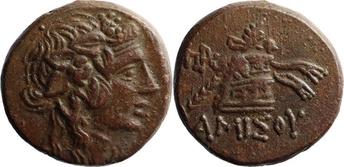 Ancient Greek coin from Pontos, Amisos 120-63BC Dionysos with Cista Mystica