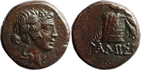 Ancient Greek coin from Pontos, Amisos 120-63BC Dionysos with Cista Mystica