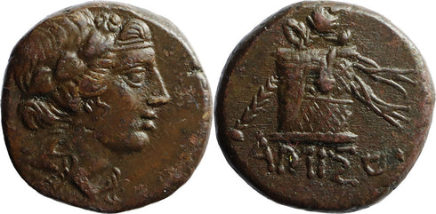Ancient Greek coin from Pontos, Amisos 120-63BC Dionysos with Cista Mystica