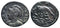 Ancient Roman coin - Commemorative Coin minted in Rome - Wolf and Twins