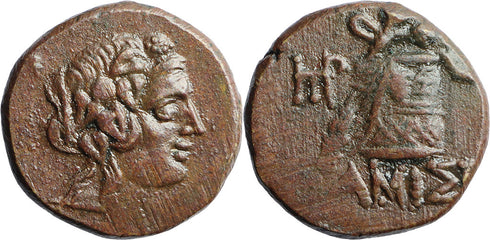 Ancient Greek coin from Pontos, Amisos 120-63BC Dionysos with Cista Mystica