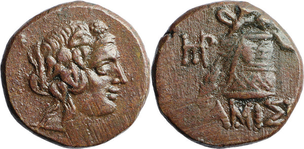 Ancient Greek coin from Pontos, Amisos 120-63BC Dionysos with Cista Mystica - expressive portrait