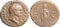 Large Ancient Roman coin of the Emperor Vespasian minted in Rome