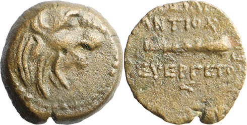 Ancient Greek coin of the Seleukid King Antiochos VII Euergetes (Sidetes) 138-129 BC - Lion and Club
