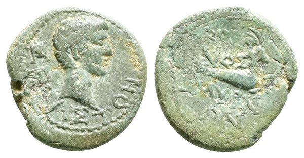 Ancient Roman Provincial coin of the Emperor Augustus 27 BC-14 AD minted in Smyrna, Ionia