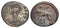 Ancient Roman coin - Commemorative Coin minted in Alexandria, Egypt - Wolf and Twins