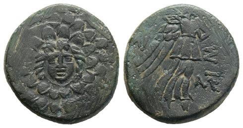 Ancient Greek coin from Pontos, Amisos. Time of Mithradates VI Eupator 105-63 BC
