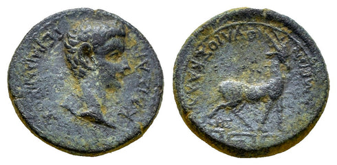 Ancient Roman Provincial coin of Germanicus minted in Apameia, Phrygia