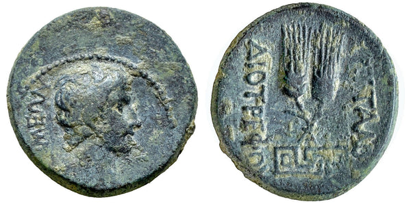 Ancient Roman Provincial coin of Augustus 27 BC to 14 AD minted in Apameia, Phrygia