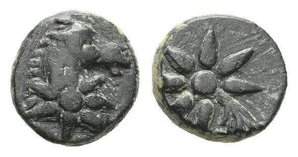 Ancient Greek coin with Horse, Star and Comet circa 130-100 BC
