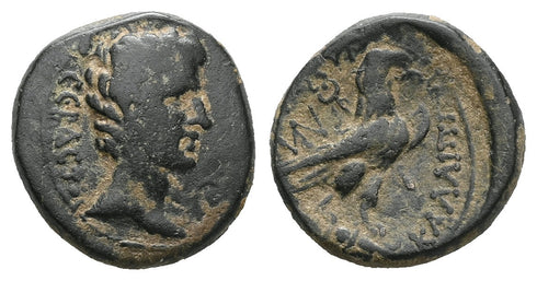 Ancient Roman Provincial coin of the Emperor Augustus 27 BC-14 AD minted in Amorium, Phrygia