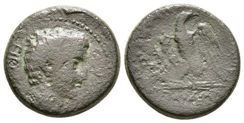 Ancient Roman Provincial coin of Gauis as Caesar struck in Laodicea ad Lycum, Phrygia