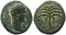 Roman coin of Trajan - Judaea, Sepphoris- beautiful desert patina