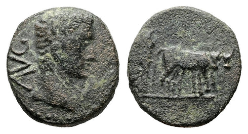 Ancient Roman Provincial coin of Augustus 27 BC to 14 AD minted in Alexandria, Troas