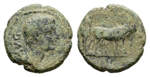 Ancient Roman Provincial coin of Augustus 27 BC to 14 AD minted in Alexandria, Troas