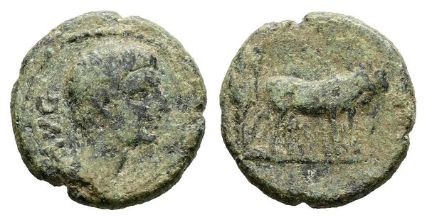Ancient Roman Provincial coin of Augustus 27 BC to 14 AD minted in Alexandria, Troas