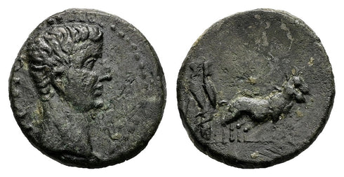 Ancient Roman Provincial coin of the Emperor Tiberius minted in Alexandria, Troas