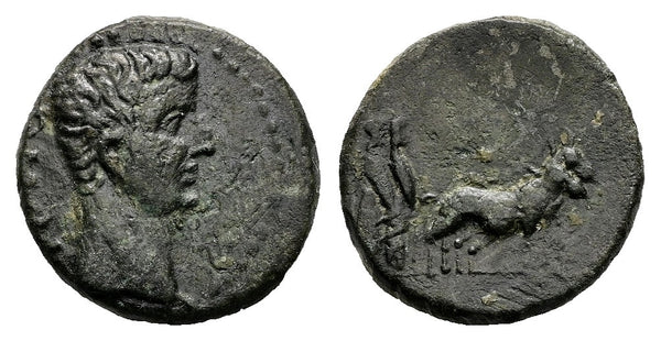 Ancient Roman Provincial coin of the Emperor Tiberius minted in Alexandria, Troas