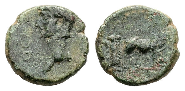 Ancient Roman Provincial coin of the Emperor Claudius I minted in Alexandria, Troas