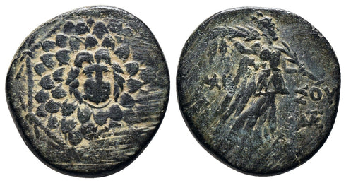 Ancient Greek coin from Pontos, Amisos. Time of Mithradates VI Eupator 105-90 BC or 90-85 BC
