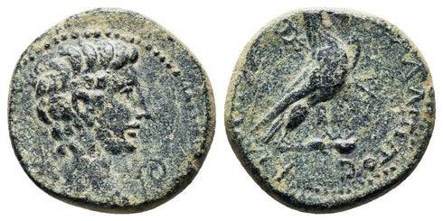 Ancient Roman Provincial coin of the Emperor Augustus 27 BC-14 AD minted in Amorium, Phrygia