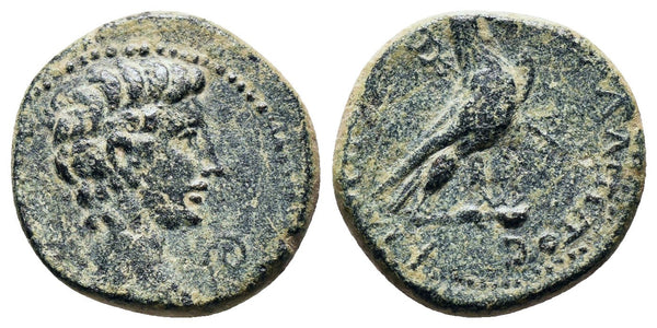 Ancient Roman Provincial coin of the Emperor Augustus 27 BC-14 AD minted in Amorium, Phrygia