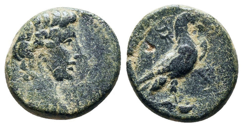 Ancient Roman Provincial coin of the Emperor Augustus 27 BC-14 AD minted in Amorium, Phrygia