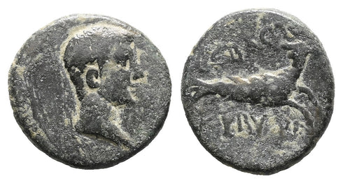 Ancient Roman coin of the Emperor Augustus 27 BC to 14 AD minted in Cibyra, Phrygia