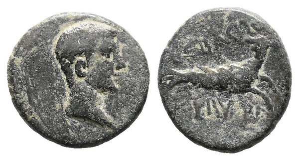 Ancient Roman coin of the Emperor Augustus 27 BC to 14 AD minted in Cibyra, Phrygia