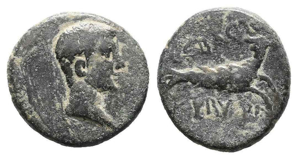 Ancient Roman coin of the Emperor Augustus 27 BC to 14 AD minted in Cibyra, Phrygia