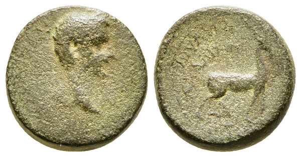 Ancient Roman Provincial coin of Germanicus minted in Apameia, Phrygia