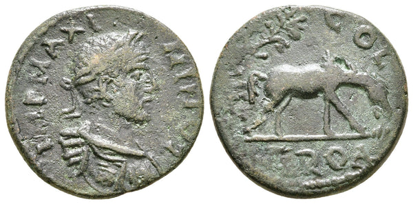 Ancient Roman Provincial coin of the Emperor Maximinus I Thrax 235-238 AD minted in Alexandreia, Troas