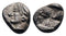 Ancient Greek silver coin from Phokaia, Ionia circa 625/0-522 BC