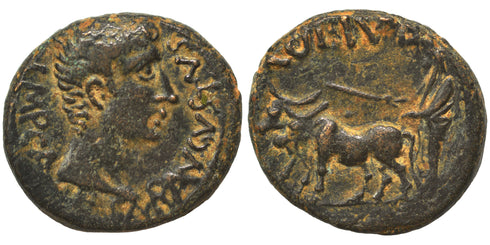 Ancient Roman Provincial coin of Augustus 27 B to 14 AD minted in Berytus, Phoenicia