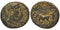 Ancient Roman Provincial coin of Augustus 27 B to 14 AD minted in Berytus, Phoenicia