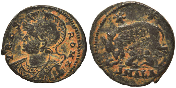 Ancient Roman coin - Commemorative Coin minted in Alexandria, Egypt - Wolf and Twins