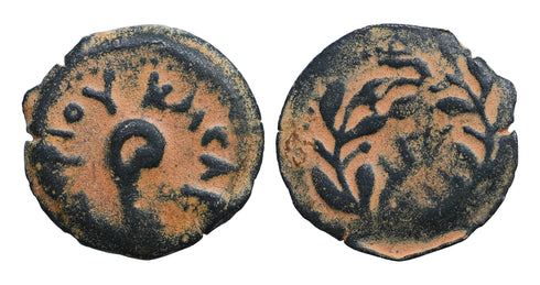 Ancient Judaean coin of Pontius Pilate 26-36 AD Prutah struck under the Roman Emperor Tiberius