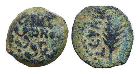Ancient Judaean coin - Roman Procurators - Porcius Festus (59-62 AD) Æ Prutah / Palm Branch