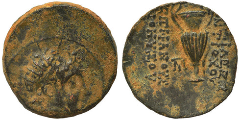 Ancient Greek coin of the Seleukid King Antiochos VI Dionysos with Kantharos